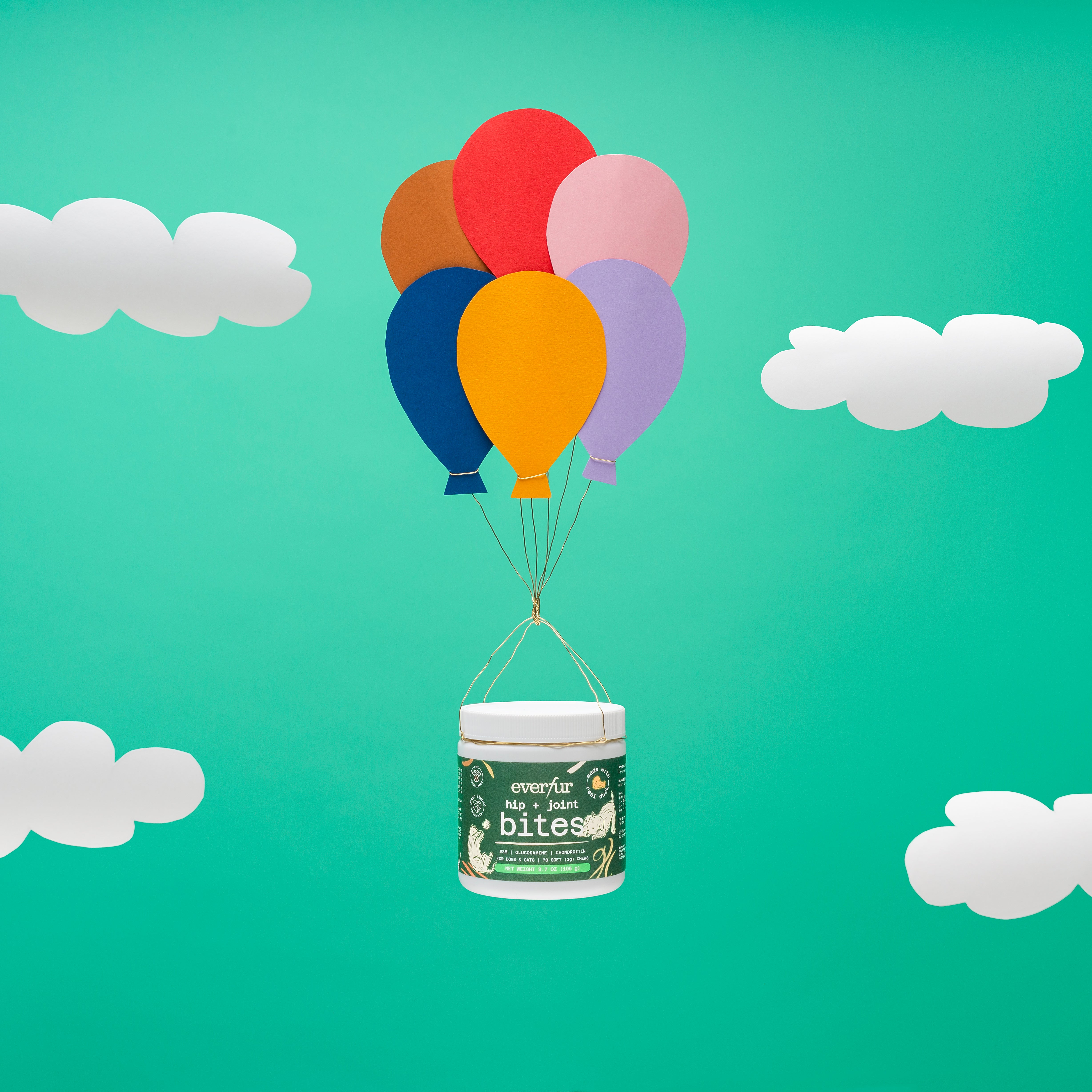 A single green leaf against a white background.