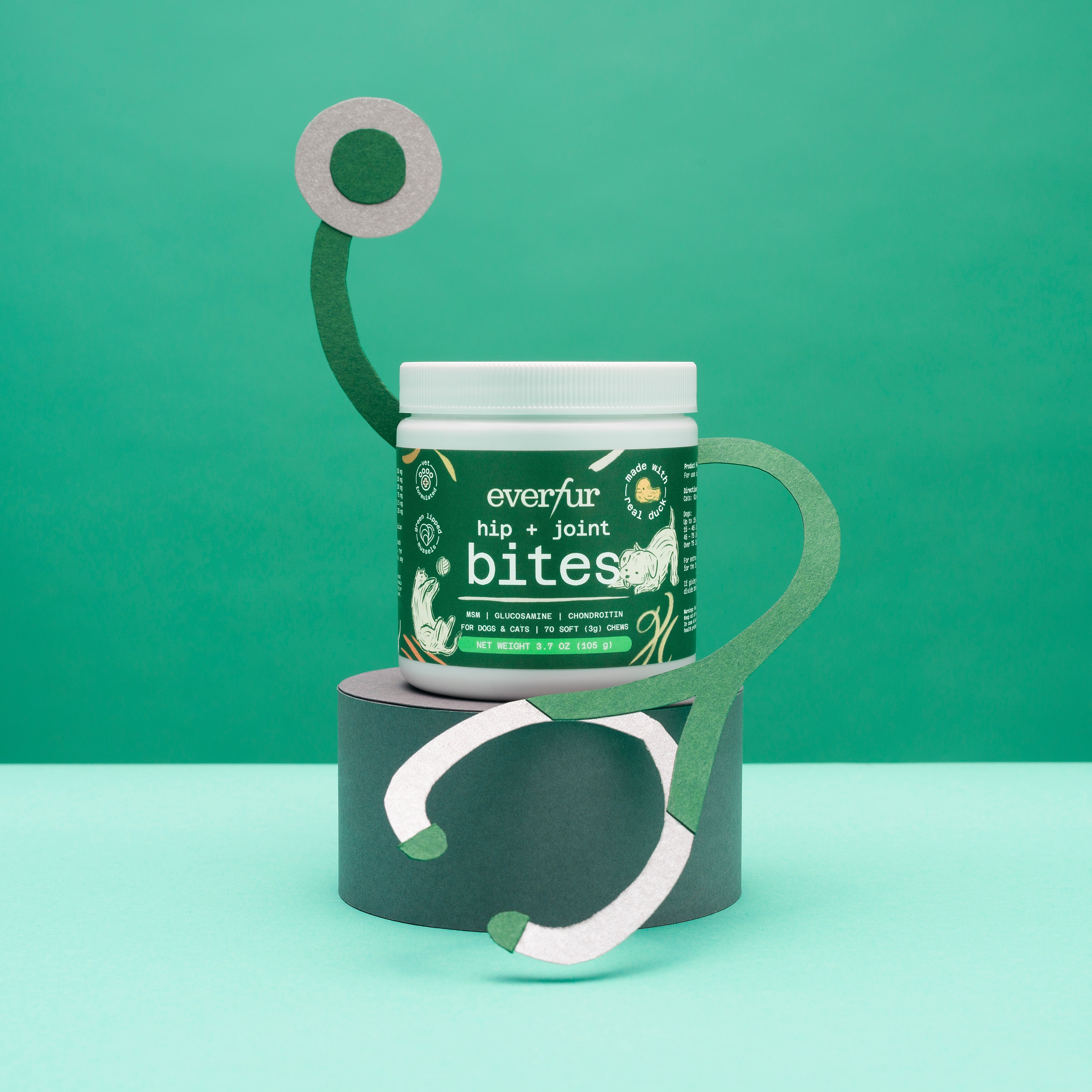 A single green leaf against a white background.