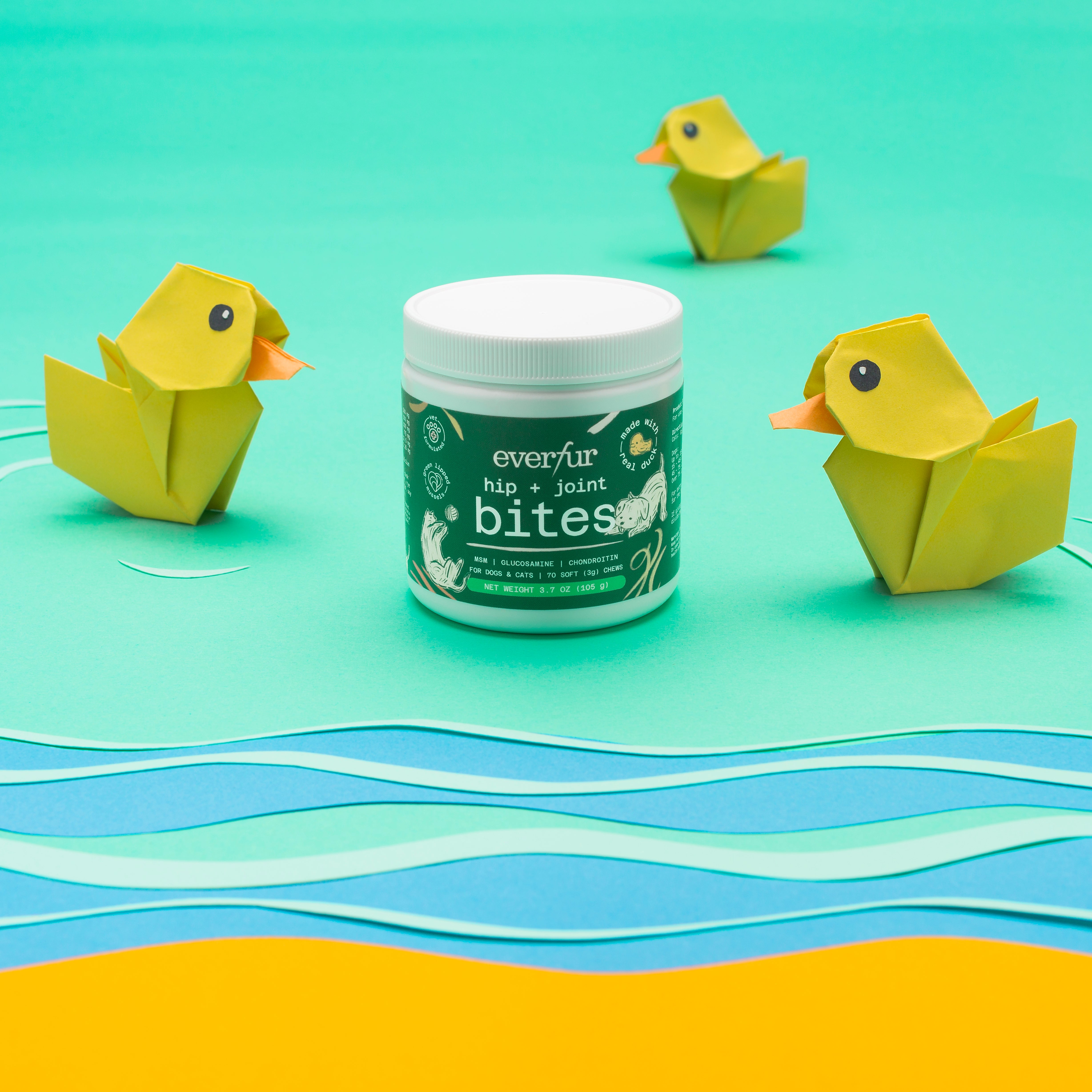 A single green leaf against a white background.