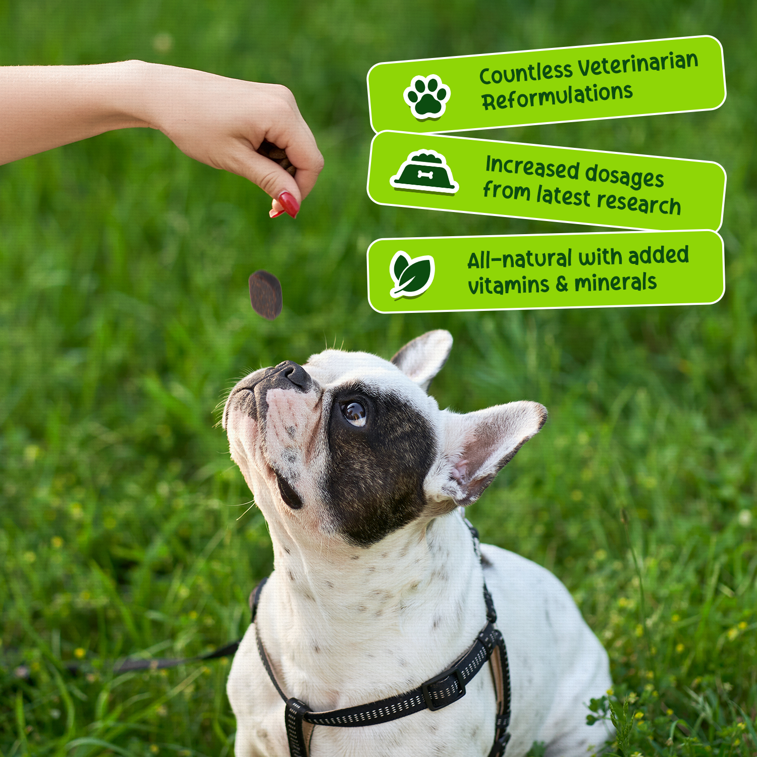 A single green leaf against a white background.
