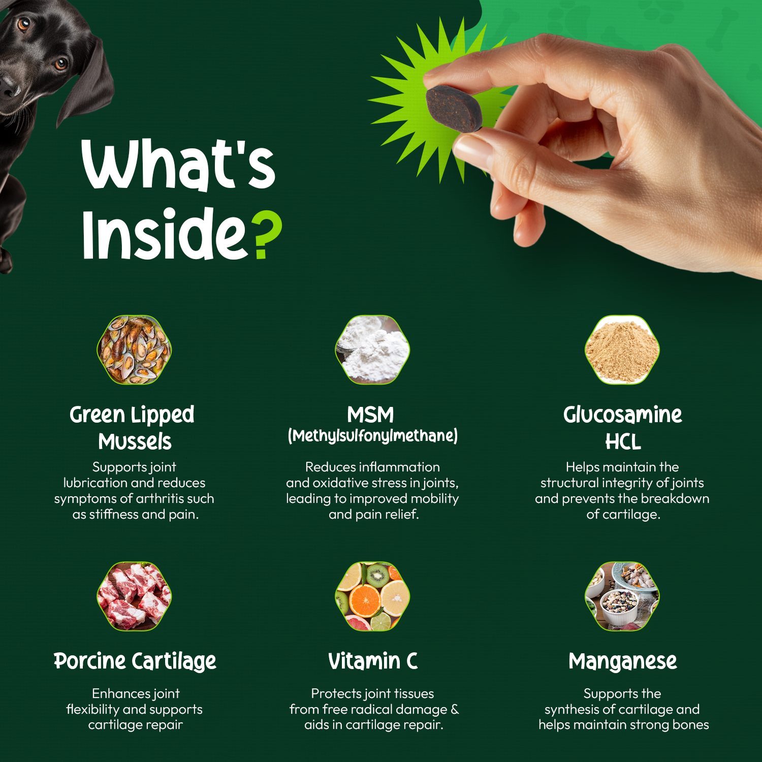 A single green leaf against a white background.