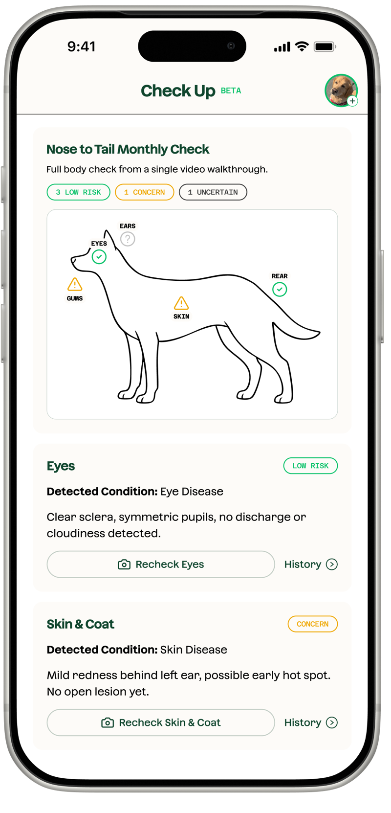 Everfur app showing a nose-to-tail body check on a dog with eyes flagged low risk and skin & coat flagged concern