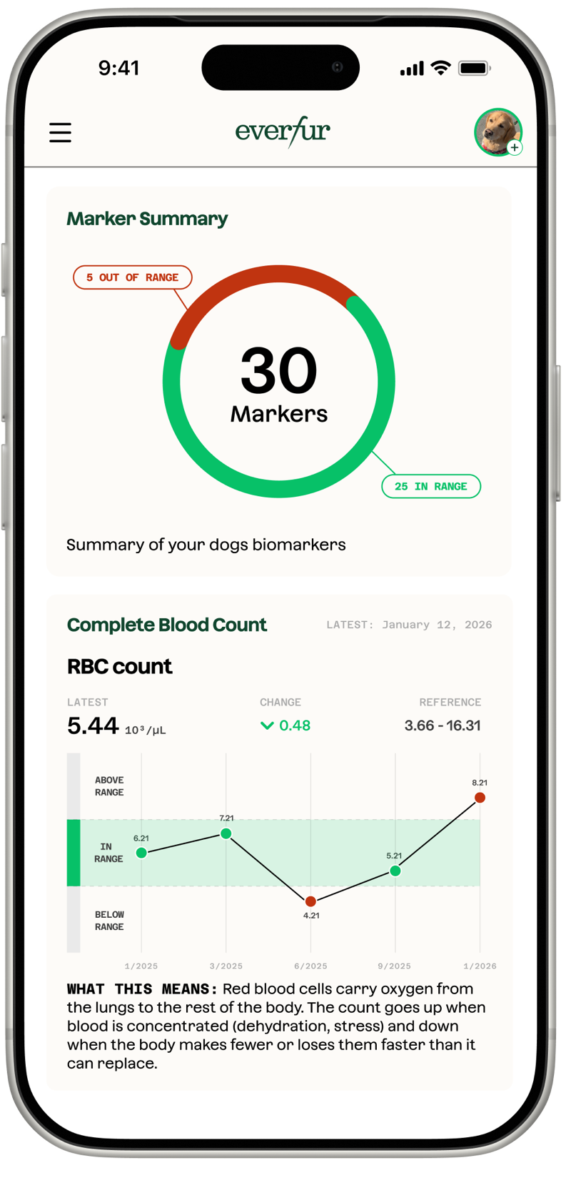 Everfur app showing a blood marker summary with 30 markers and an RBC count trend chart