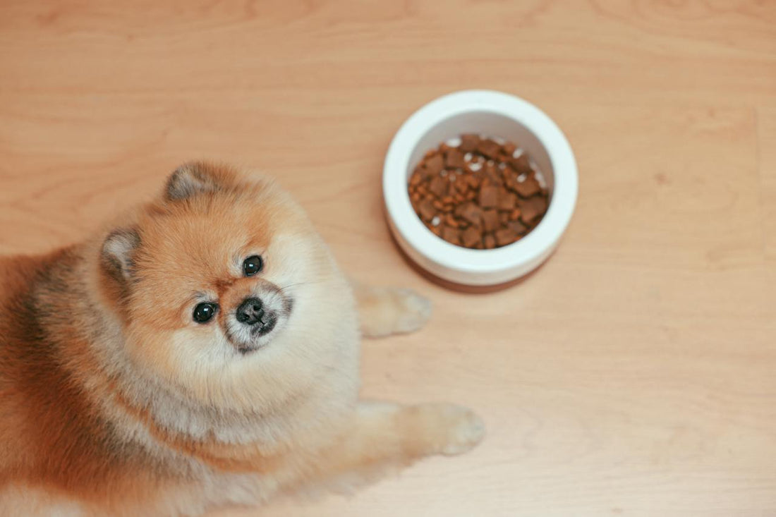 Prescription Pet Foods: Disease-Specific Diets