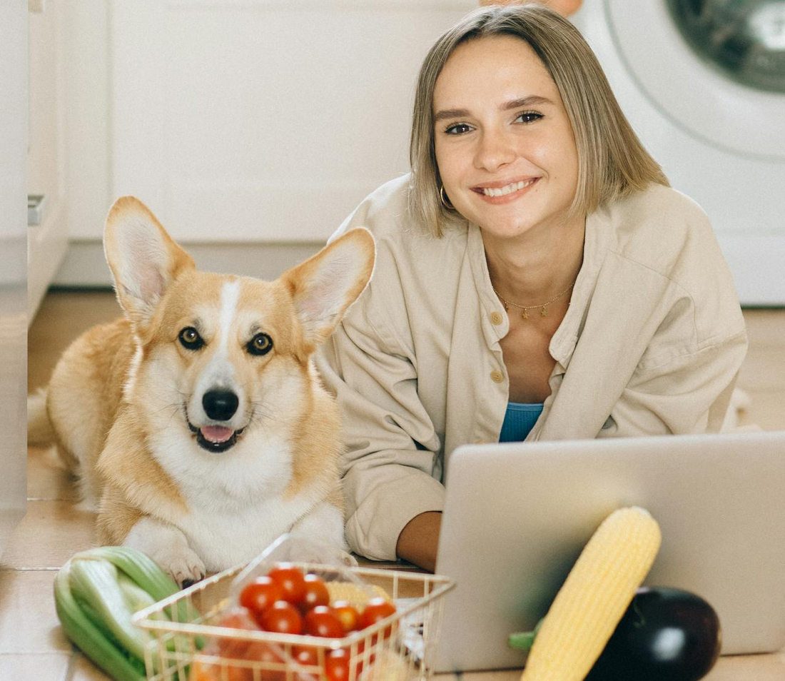 What Vegetables Are Good For Dogs?