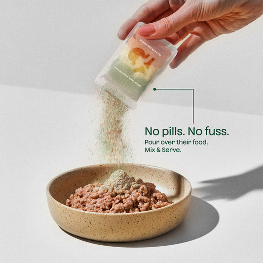 Base + Arthritis + Gut