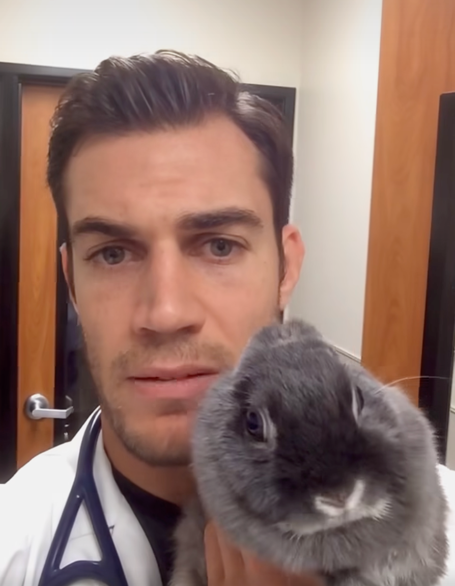 Evan Antin